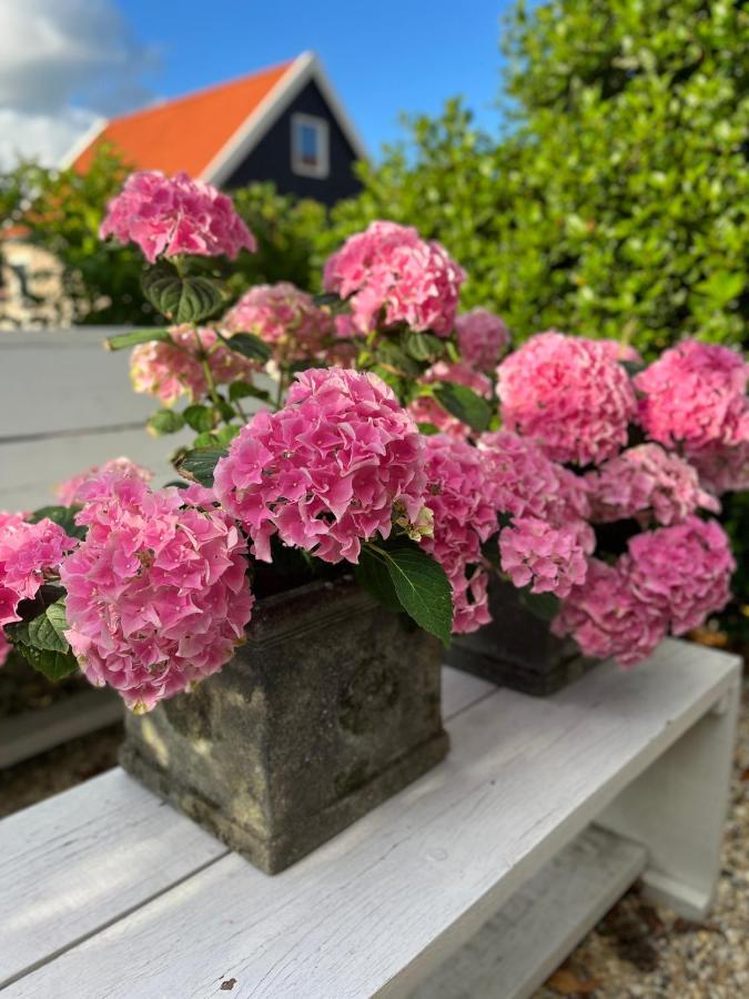 Maison Blakenburg Wissenkerke Exterior foto